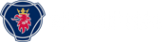Логотип компании СибТракСкан