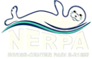 Логотип компании Нерпа
