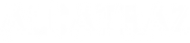 Логотип компании Алькатрас