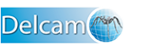Логотип компании Delcam-Новосибирск