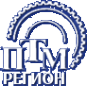 Логотип компании ПТМ Регион