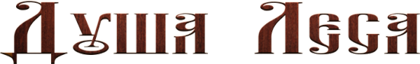 Логотип компании Душа Леса