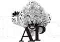 Логотип компании Домашний Барс