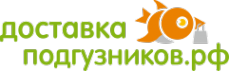 Логотип компании Доставка-подгузников.рф