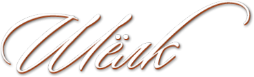 Логотип компании Шелк