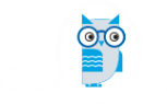 Логотип компании Сибирь Оптика
