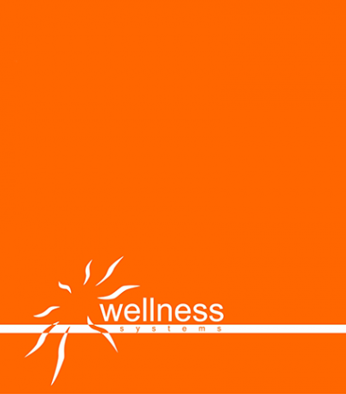 Логотип компании Велнес системы