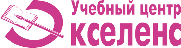 Логотип компании Экселенс