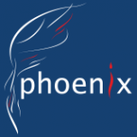 Логотип компании Phoenix