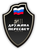 Логотип компании Дружина-Пересвет
