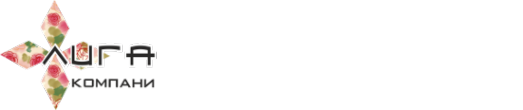 Логотип компании ЛИГА компани