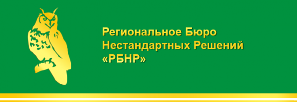 Логотип компании РЕГИОНАЛЬНОЕ БЮРО НЕСТАНДАРТНЫХ РЕШЕНИЙ