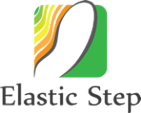 Логотип компании ЭластикСтэп