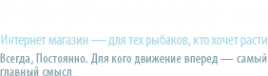Логотип компании Народные снасти