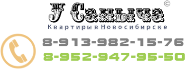 Логотип компании В гостях у Саныча