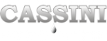 Логотип компании Cassini
