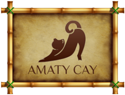 Логотип компании Amaty Cay