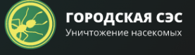 Логотип компании Городская СЭС