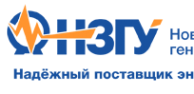 Логотип компании Новосибирский завод генераторных установок