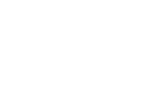 Логотип компании VESNA #VESNAWORKSHOP