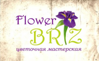 Логотип компании Flower briz
