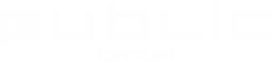 Логотип компании Respublica