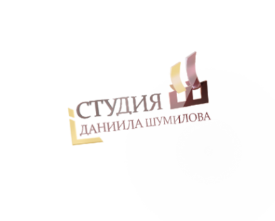Логотип компании Студия Даниила Шумилова