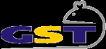 Логотип компании Джи-Эс-Ти