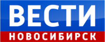Логотип компании НовосибирскТелефильм