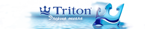 Логотип компании Triton