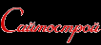 Логотип компании Балт-Ком