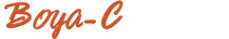 Логотип компании Боя-С