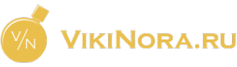 Логотип компании VikiNora.ru