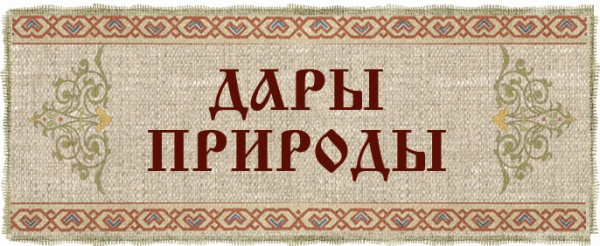 Логотип компании ТРИВИКРАМА