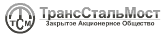 Логотип компании ТрансСтальМост