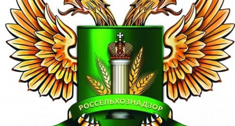Логотип компании ЭкоСибирь