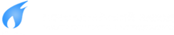 Логотип компании Новоалтайский завод энергетического оборудования