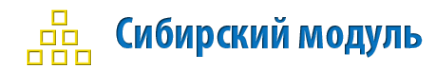 Логотип компании Сибирский модуль
