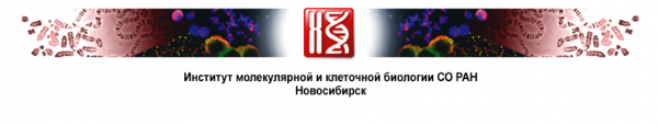 Логотип компании Институт молекулярной и клеточной биологии СО РАН