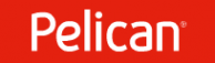 Логотип компании Pelican Kids