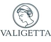 Логотип компании Валиджетта
