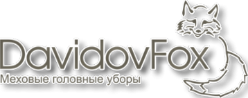 Логотип компании DavidovFox