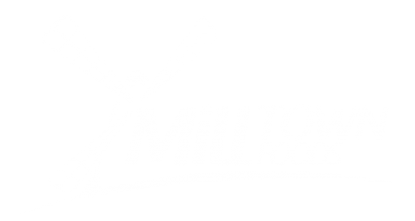 Логотип компании МиллТаун Фудз