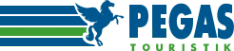 Логотип компании Пегас Туристик