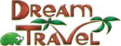 Логотип компании DreamFly
