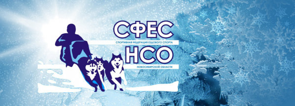 Логотип компании Спортивная федерация ездового спорта Новосибирской области