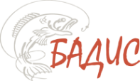 Логотип компании Бадис