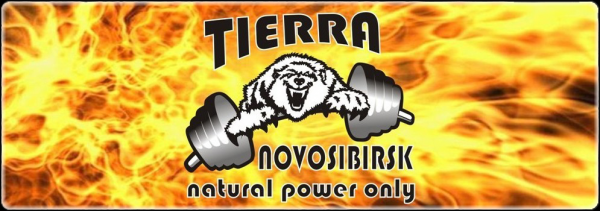Логотип компании Tierra