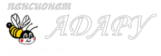 Логотип компании Адару