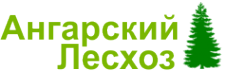 Логотип компании Ангарский Эко Лес